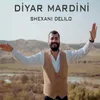 About Shexani Delilo Song