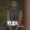 About Flex Song