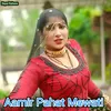 About Aamir Pahat Mewati Song