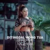 About Ditinggal Wong Tua Song