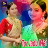 About Tor Jadu Mei Song