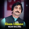 About Shum Liwane - Nigar Malang Song