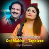 About Gul Makhe _ Tapaieze _ Gul Rukhsar Ashmat Sahar Song