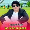 About Jor Me Ka Ta Janan Song