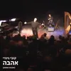 רב אמן