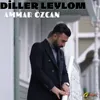 About Diller Leylom Song