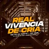 About Real Vivência De Cria Song