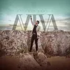 About Aviva Song