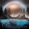 About Moonlight Shadown Song