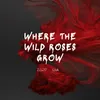 Where the Wild Roses Grow