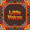About Little Voices Song
