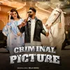 About Criminal Picture Song