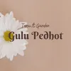 About Gulu Pedhot Song
