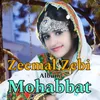 Mazrat Pari Jan