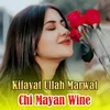 About Chi Mayan Wine Song