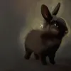 About bunnybunnybunny Song