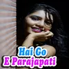 About Hai Go E Parajapati Song