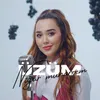 About Üzüm Song