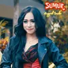 Sumur