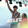 About Weleg Song