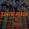 Santri Pekok