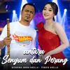 About Antara Senyum dan Perang Song