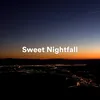 Luminous Nightfall