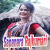 About Sapanara Rajkumari Song