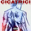 About Cicatrici Song