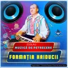 About Formația Haiducii Song