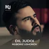 About Dil Judoi Song