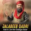 About Nabi Ki Jan Hen Siddique Akbar Song