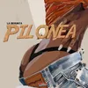 pilonea