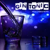 About Gin Tonic Song