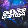 About SEQUÊNCIA GOSTOSA Song