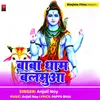 About Baba Dham Balamua Song