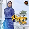 About Pinjaro Cinto Song