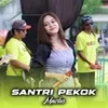 About Santri Pekok Song