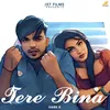 About Tere Bina Song