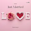 About Just Married Song