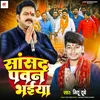 About Sansad Pawan Bhaiya Song