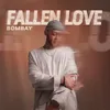 About Fallen Love Song