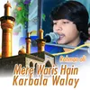 Mere Waris Hain Karbala walay