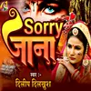 About Sorry Jana Song