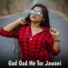 About Gad Gad He Tor Jawani Song