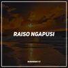 Raiso Ngapusi