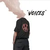 About Voices Song