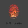 About Meri Jaana Song