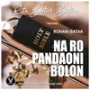About Na Ro Pandaoni Bolon Song