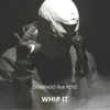 About WHIP IT Song